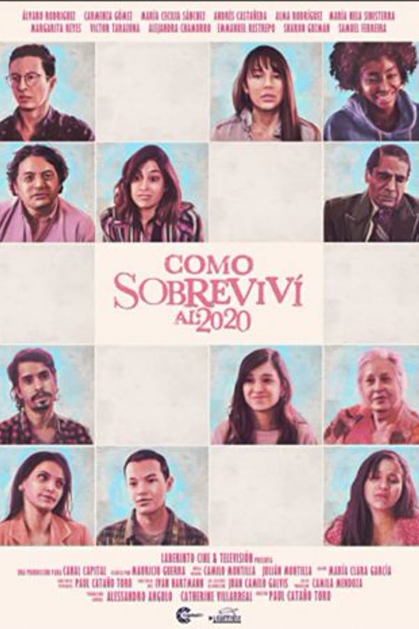 Cómo Sobreviví al 2020 poster